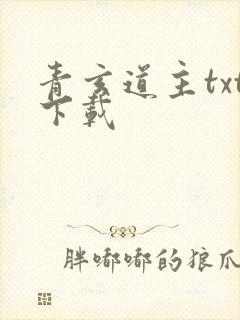 青玄道主txt下载