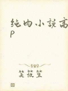 纯肉小说高hnp