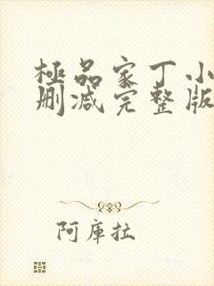 极品家丁小说无删减完整版