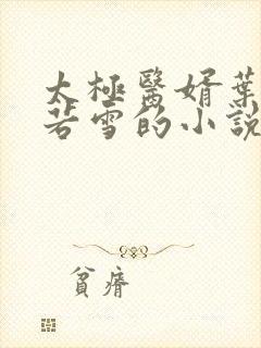 太极医婿叶凡唐若雪的小说封面