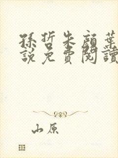 孙哲朱颜叶巧小说免费阅读封面