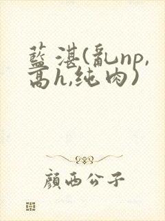 蓝湛(乱np,高h,纯肉)