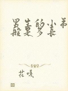 男生的小弟弟一般是多长