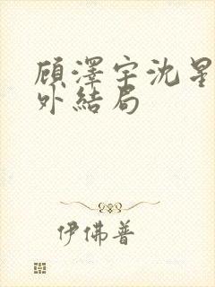 顾泽宇沈星晚番外结局