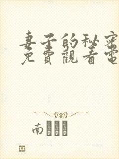 妻子的秘密全集免费观看电视剧封面