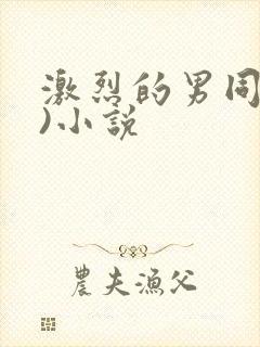 激烈的男同(h)小说