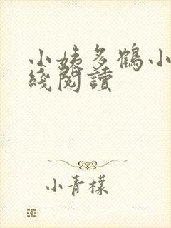 小姨多鹤小说在线阅读