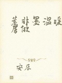 叶非墨温暖在厨房做