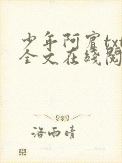 少年阿宾txt全文在线阅读封面