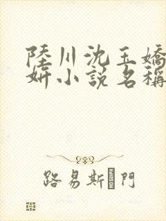 陆川沈玉娇沈欣妍小说名称封面