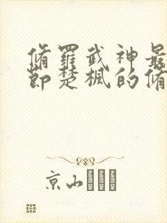 修罗武神最新章节楚枫的修为