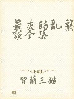 最爽的乱系列小说全集