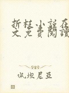 折枝小说在线全文免费阅读无弹窗