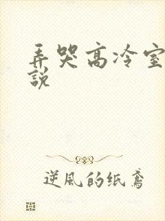 弄哭高冷室友小说封面