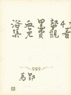 浴血黑帮4季全集免费观看