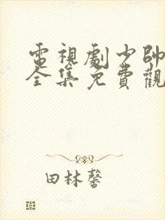 电视剧少帅48全集免费观看第一季