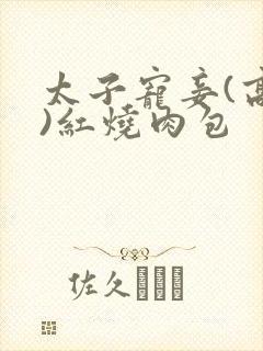 太子宠妾(高肉)红烧肉包