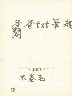 爸爸txt笔趣阁