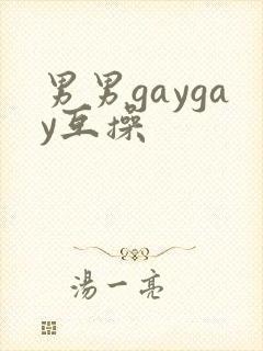 男男gaygay互操