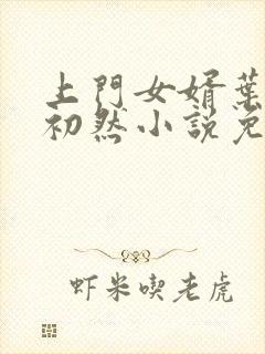 上门女婿叶辰萧初然小说免费