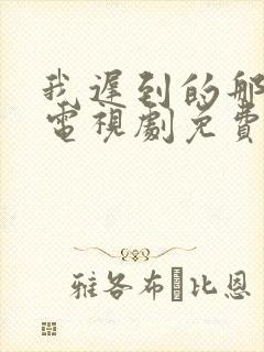 我迟到的那些年电视剧免费观看高清封面