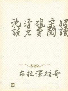 沈清砚宋昭汐小说免费阅读最新章节