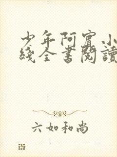 少年阿宾小说在线全书阅读无弹窗免费