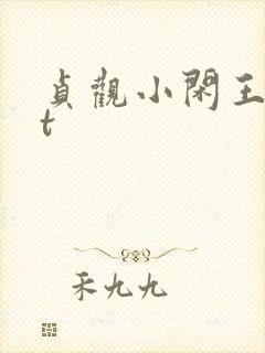 贞观小闲王txt封面