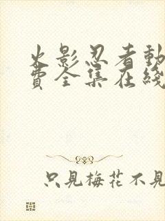 火影忍者动漫免费全集在线