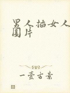 男人插女人真实图片封面