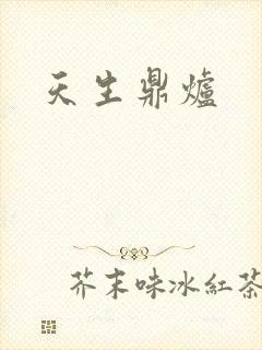 天生鼎炉封面