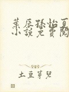 叶辰孙怡夏若雪小说免费阅读全文