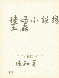 后妈小说杨晓芬王磊