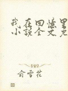 我在回忆里等你小说全文免费阅读