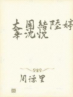 大团结陆婷婷陆华沈悦封面