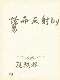 镜面反射by九葛封面