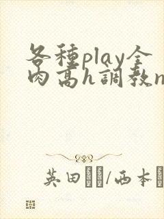 各种play全肉高h调教np