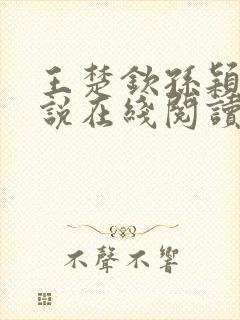 王楚钦孙颖莎小说在线阅读封面