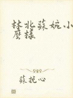 林北苏婉小说怎么样