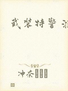 武装特警 淮上封面