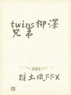 twins柳泽兄弟