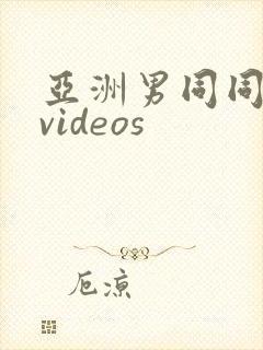 亚洲男同同性恋videos