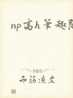 np高h笔趣阁