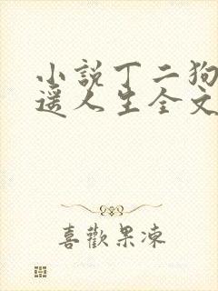 小说丁二狗的逍遥人生全文