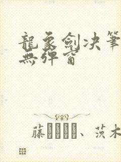 龙象剑决笔趣阁无弹窗