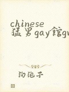chinese猛男gay馆gv