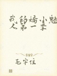 我的娇小魅魔仆人第一季