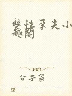 双性孕夫小说笔趣阁封面