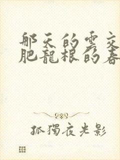 那天的云交雨合肥龙根的春天封面