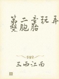 第二章玩弄校花双胞胎封面